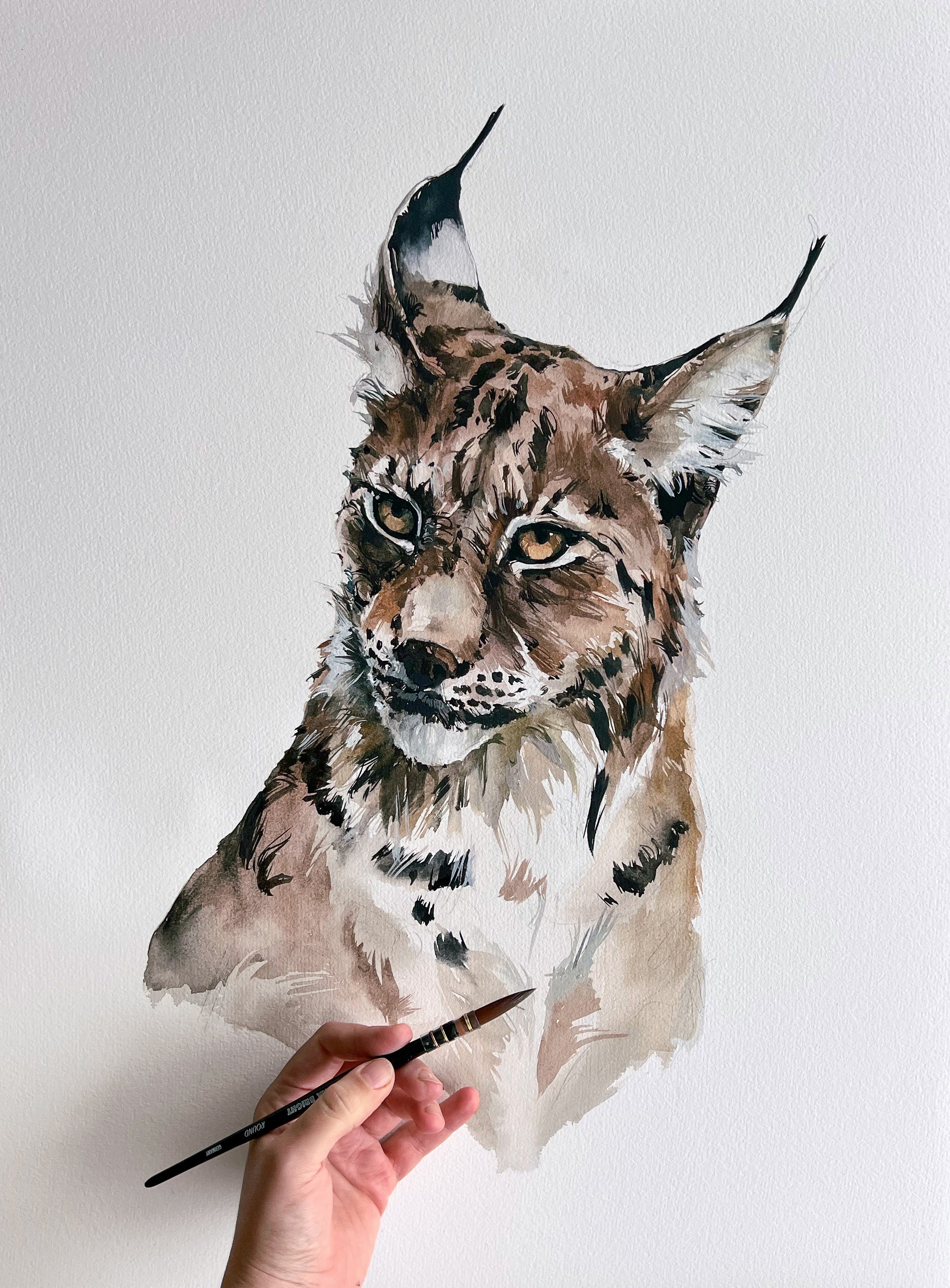 Lynx - original painting