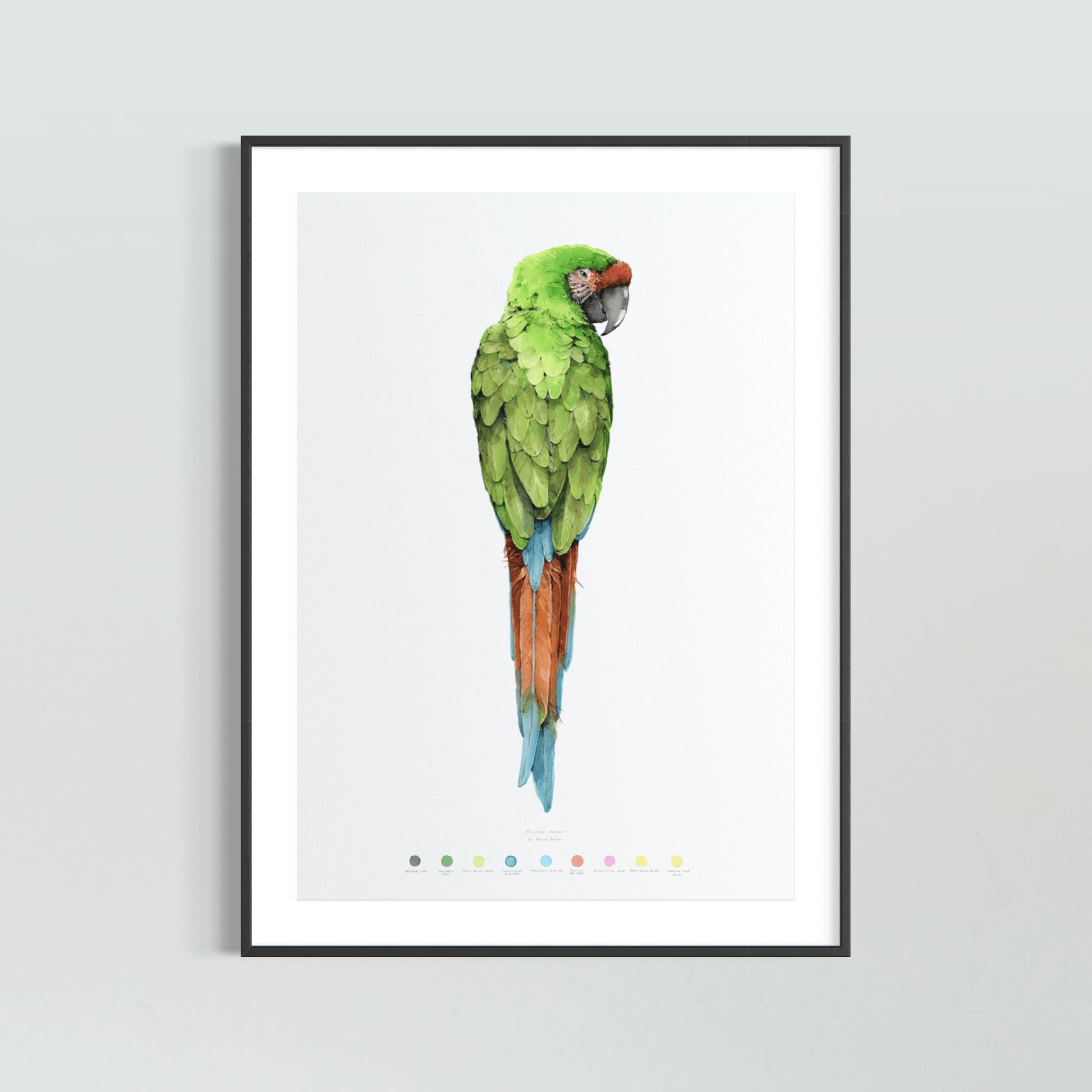 "Military Macaw" - original painting - Polina Bright