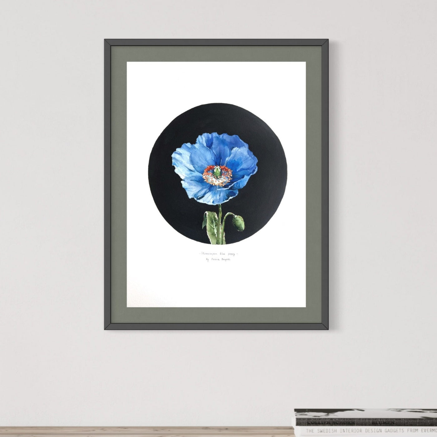 Himalayan blue poppy - print